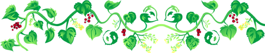 Decorative Vines Graphic