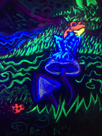 Fluorescent Orchid - Black Light
