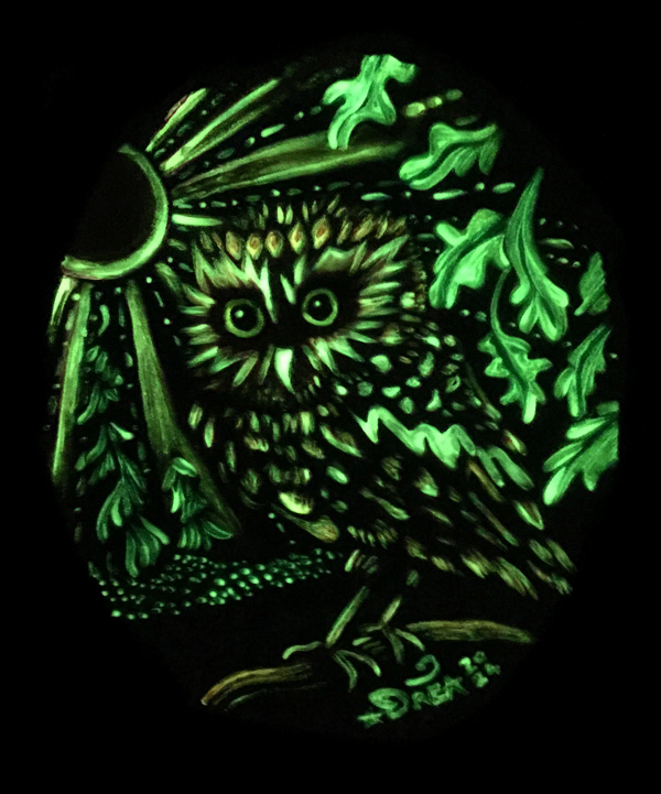 Elf Owl Glow