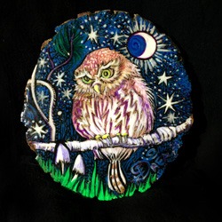 Pygmy Owl