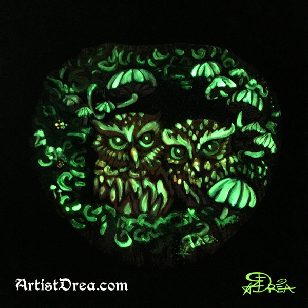 Pygmy Owlets Glow