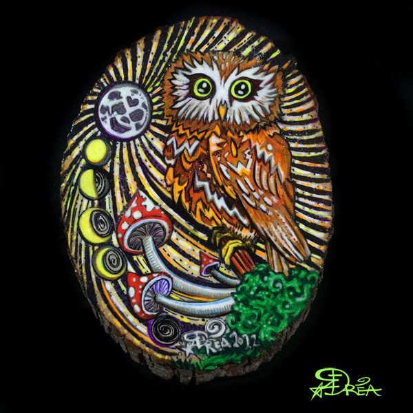 Saw-Whet Owl
