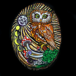 Saw-Whet Owl