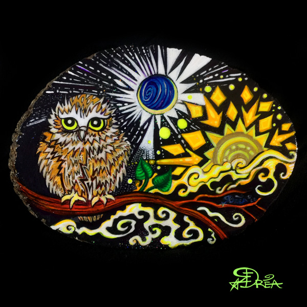 Saw-Whet Owlet