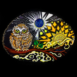 Saw-Whet Owlet