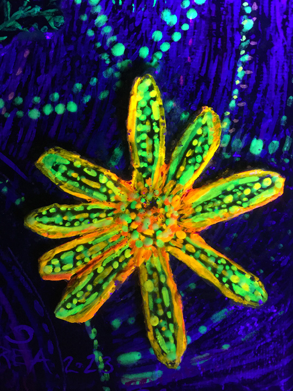 UFO in the Sun Detail of Paper Mache Flower under UV black light