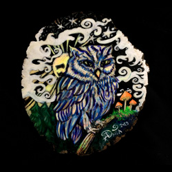 Western Screech Owl