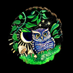 Western Screech Owlet