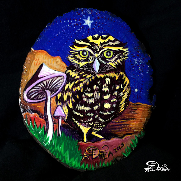Burrowing Owl