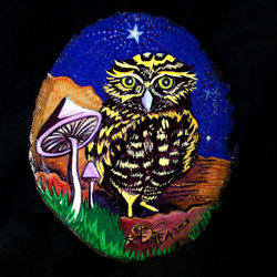 Burrowing Owl