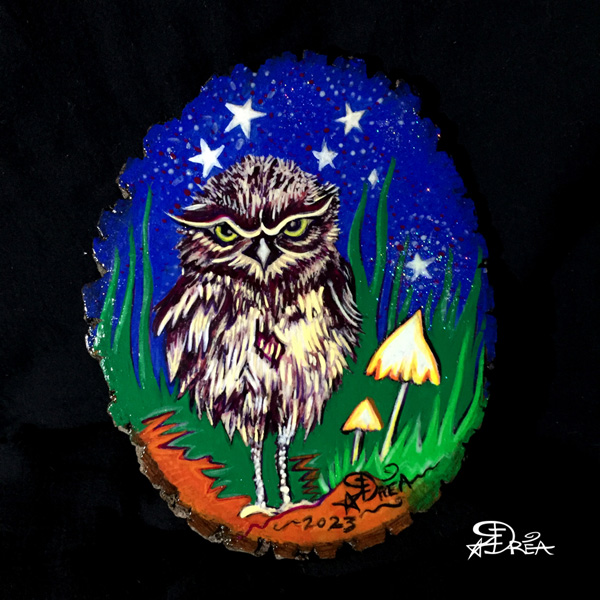 Burrowing Owl