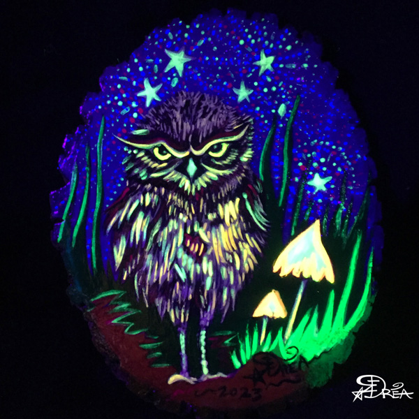 Burrowing Owl UV