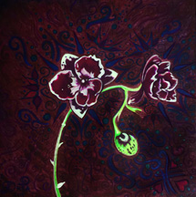 Purple Orchid