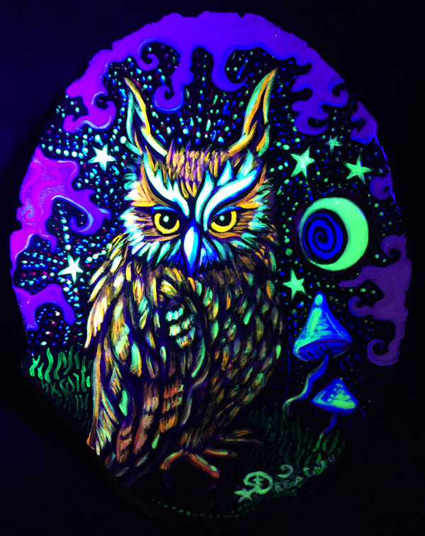 Long Eared Owl UV