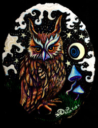 Long Eared Owl